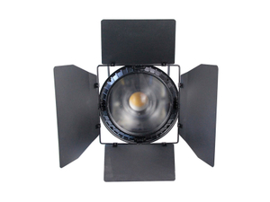 200W Mute LED TV Studio Fresnel Kontinuierliches Tageslicht
